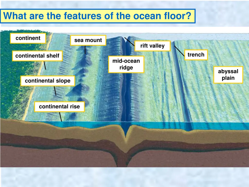 what are the features of the ocean floor