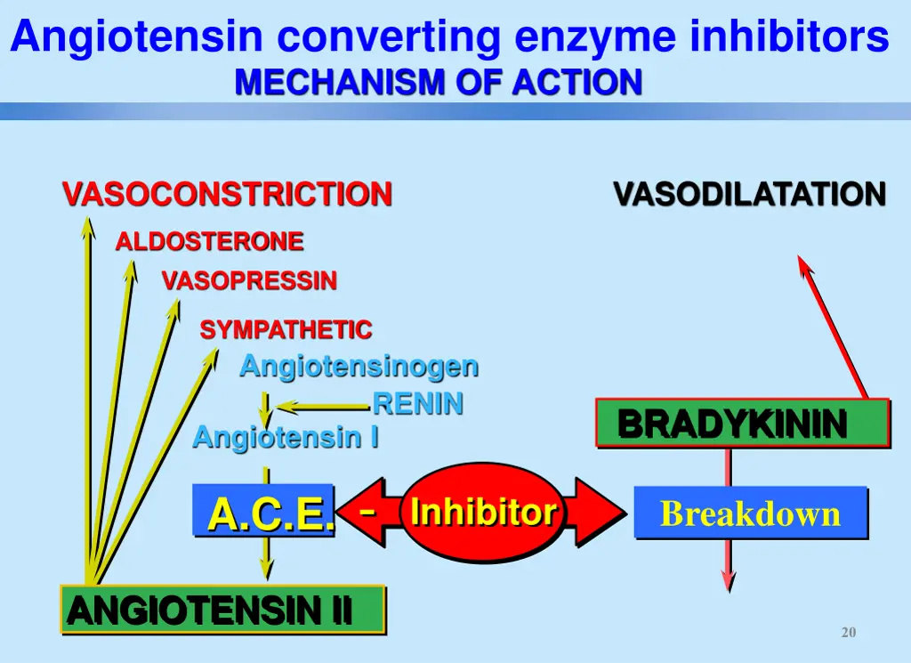 angiotensin converting enzyme inhibitors