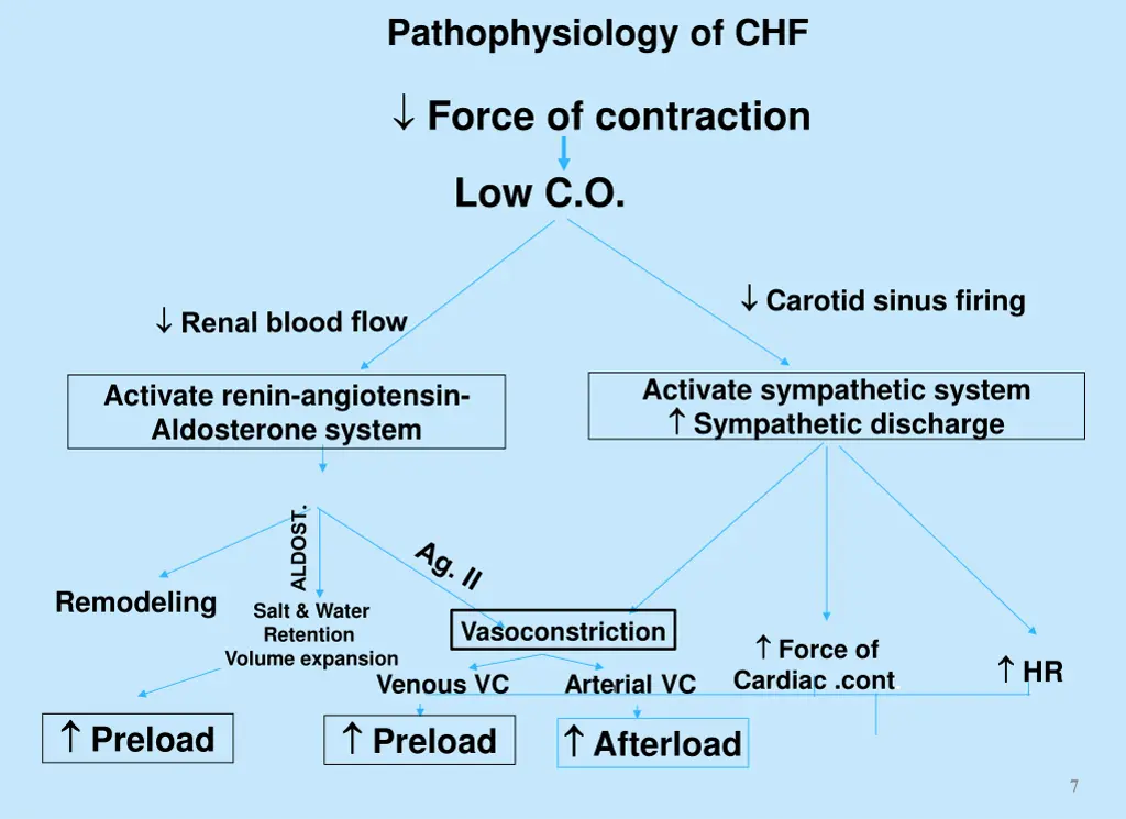 pathophysiology of chf