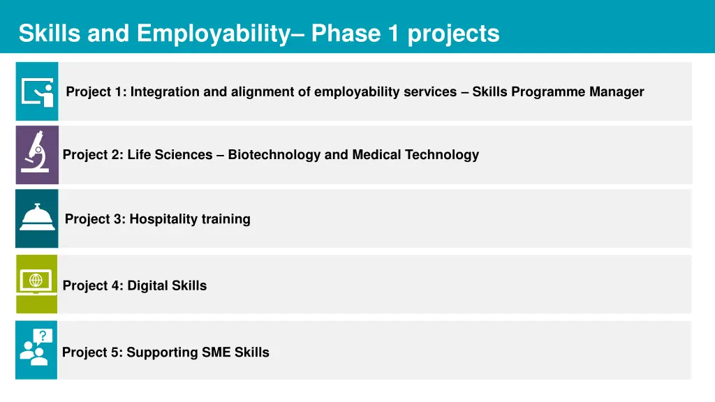 skills and employability phase 1 projects