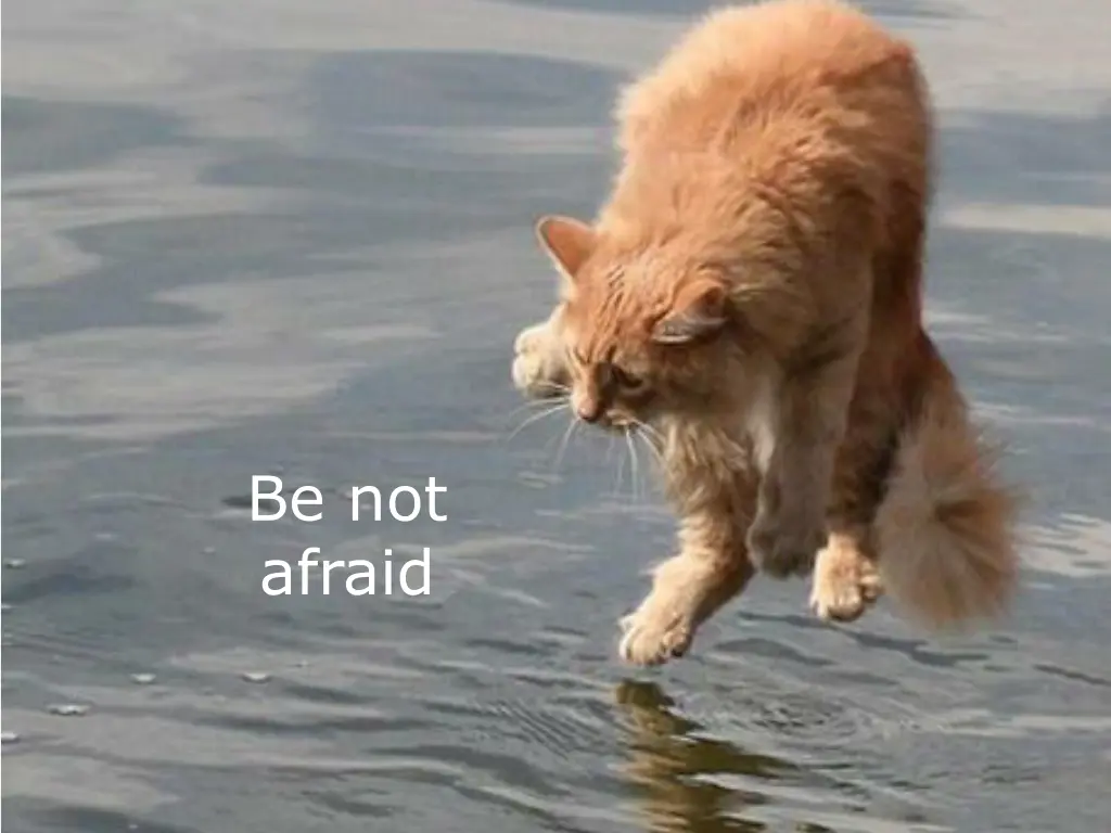 be not afraid