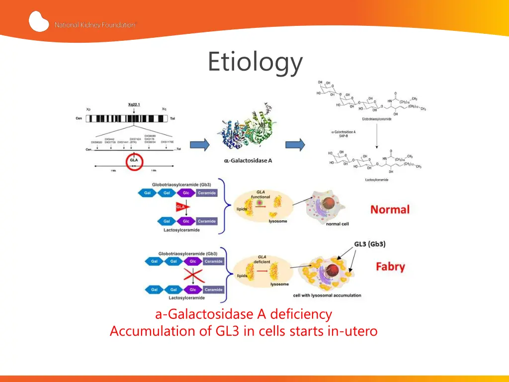 etiology