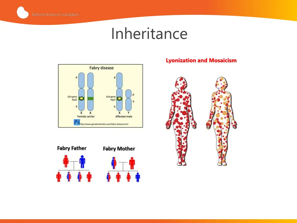 inheritance