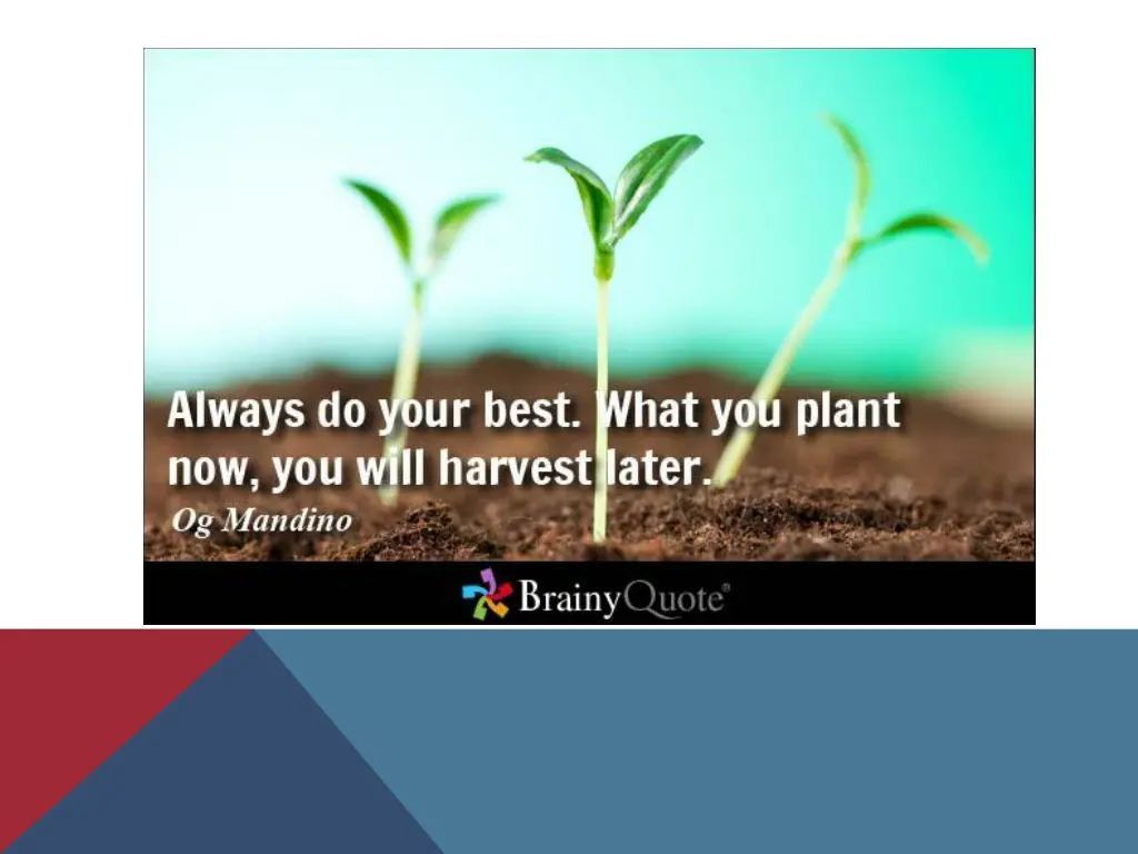 always do your best what you plant now you will