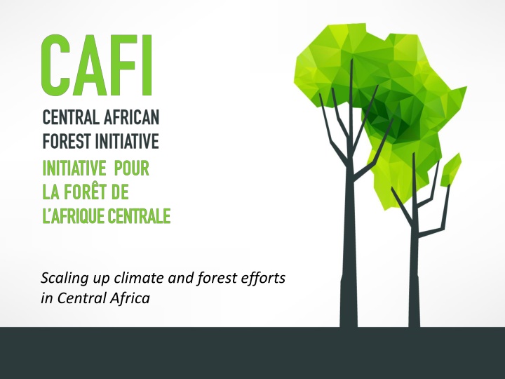 scaling up climate and forest efforts in central