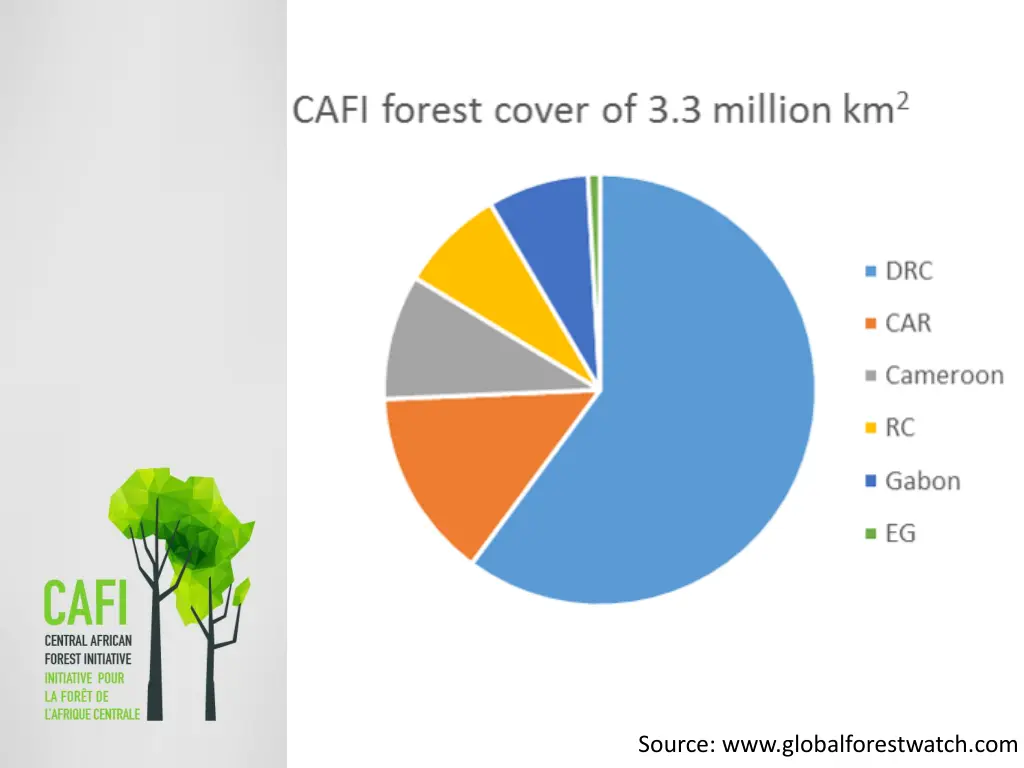 source www globalforestwatch com