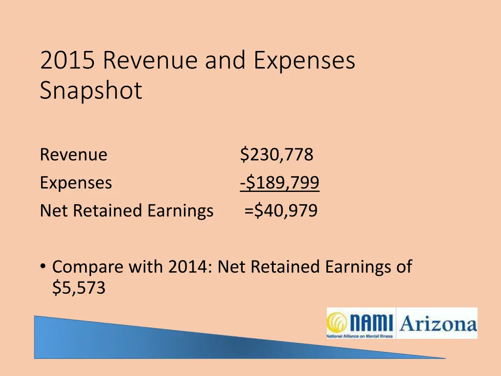 2015 revenue and expenses snapshot