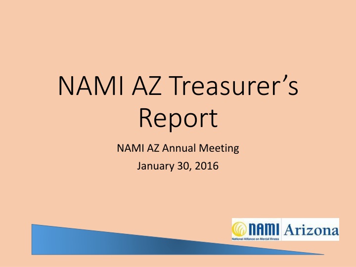 nami az treasurer s report