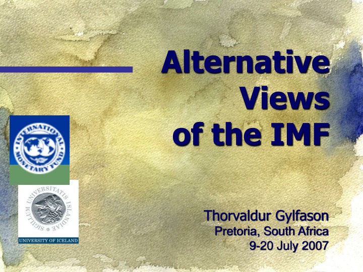 alternative views of the imf
