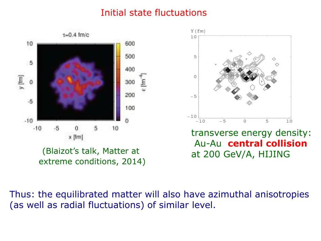 initial state fluctuations