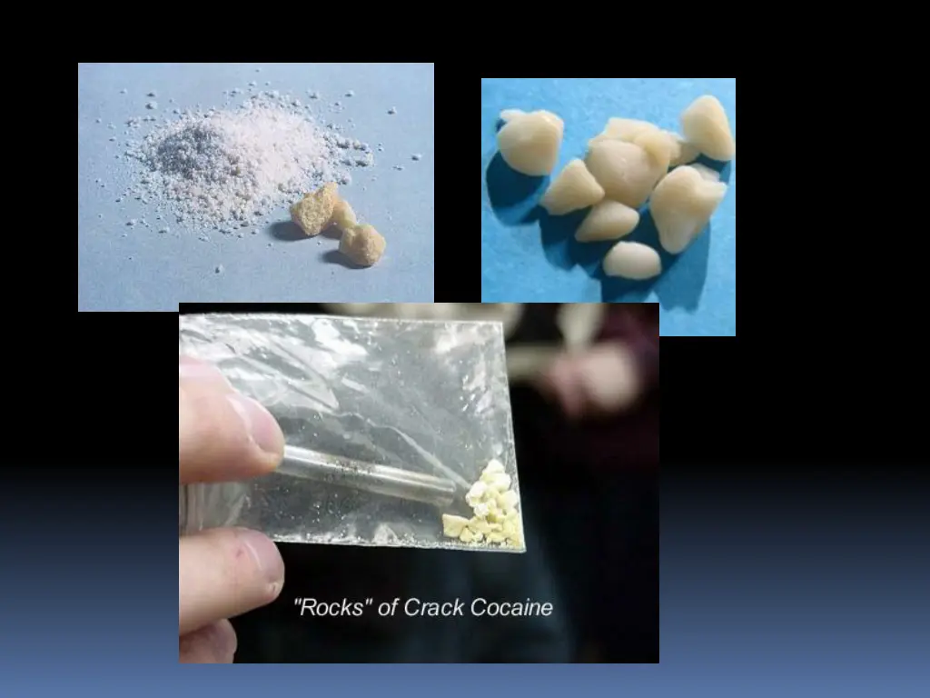 slide24