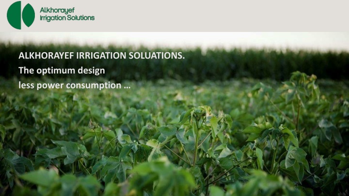 alkhorayef irrigation soluations the optimum