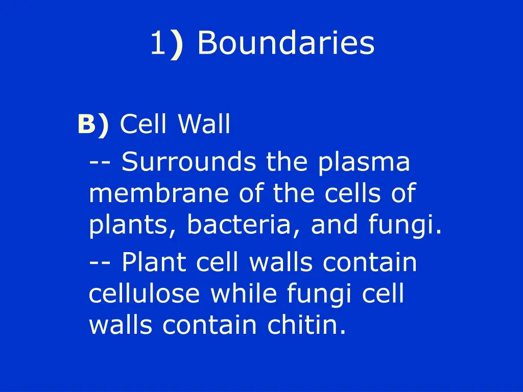 1 boundaries