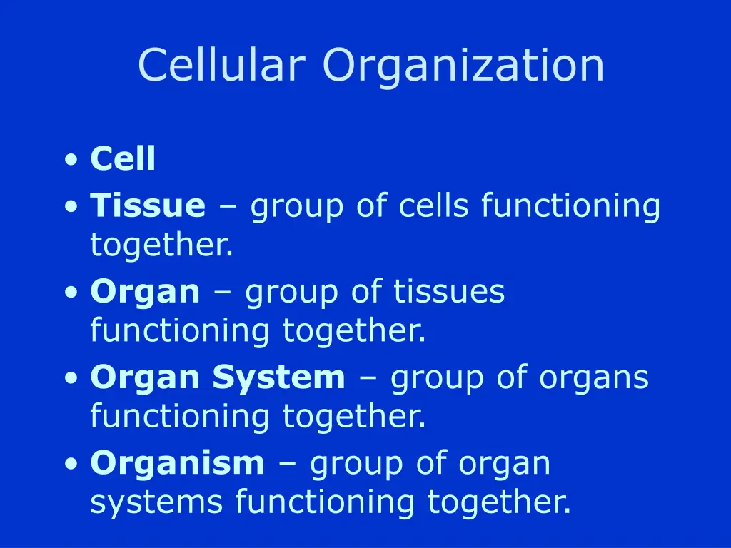 cellular organization