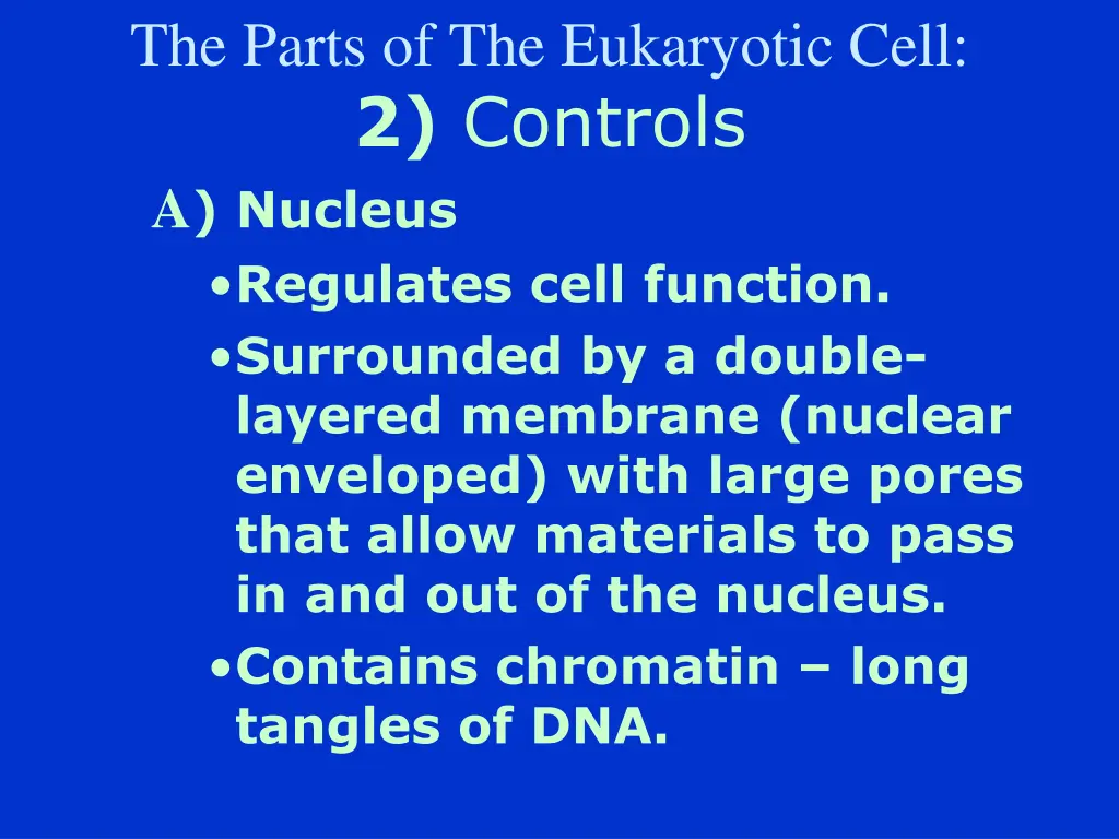 the parts of the eukaryotic cell 2 controls