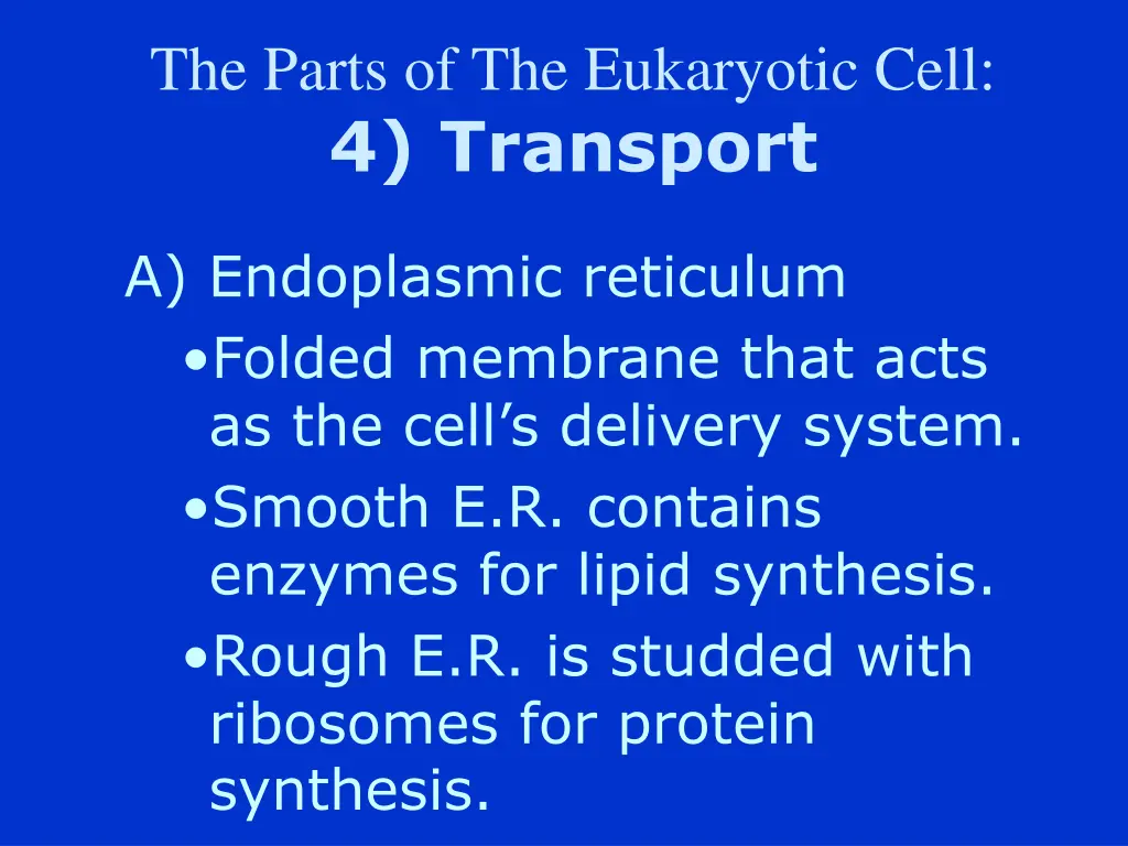 the parts of the eukaryotic cell 4 transport