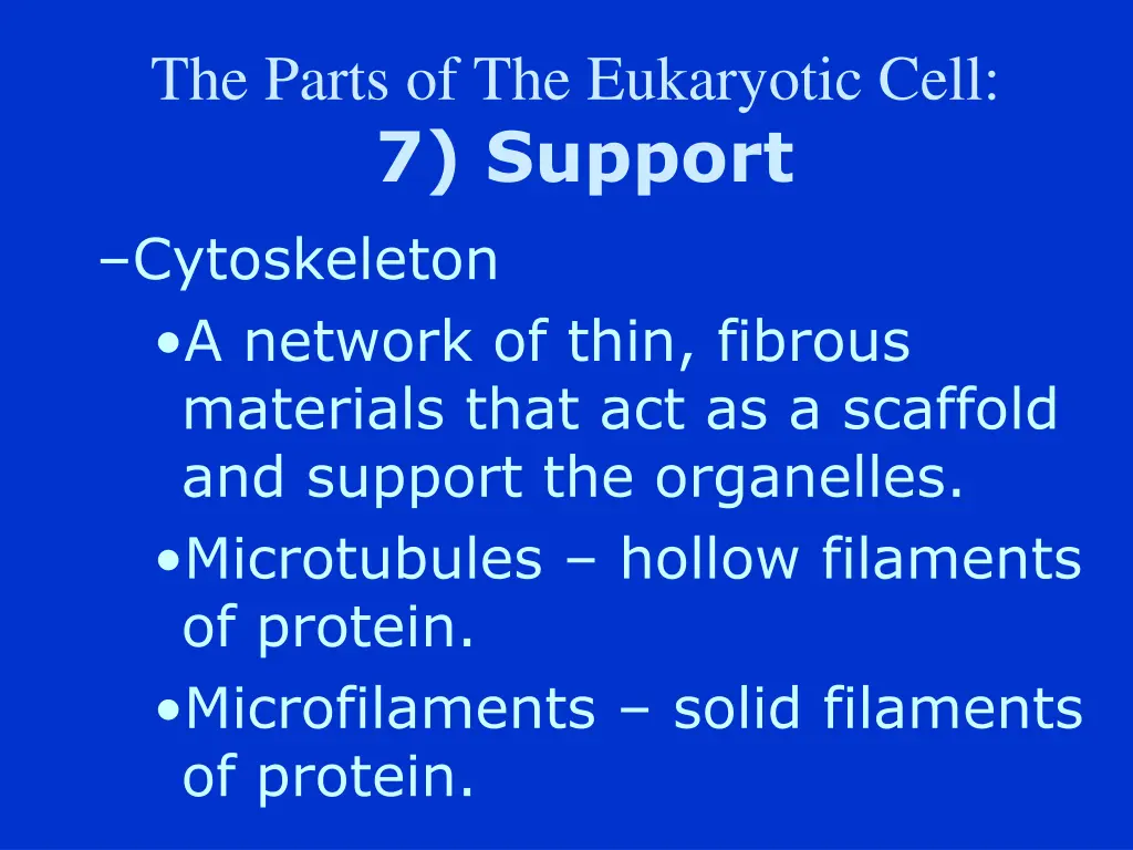 the parts of the eukaryotic cell 7 support
