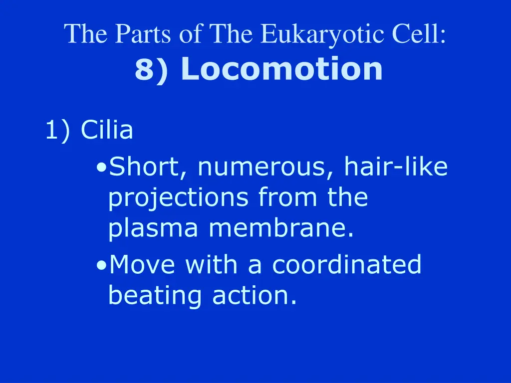 the parts of the eukaryotic cell 8 locomotion
