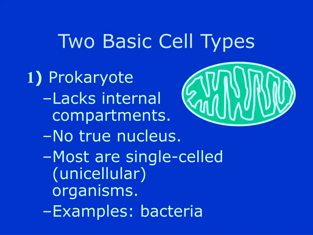 two basic cell types