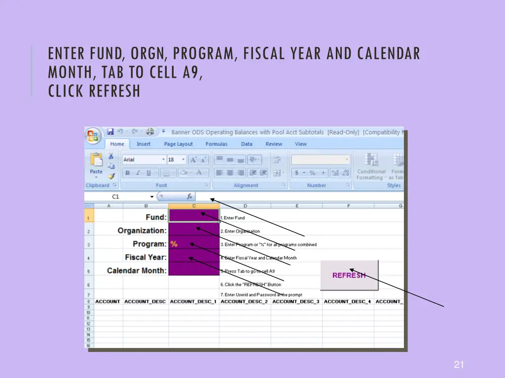 enter fund orgn program fiscal year and calendar