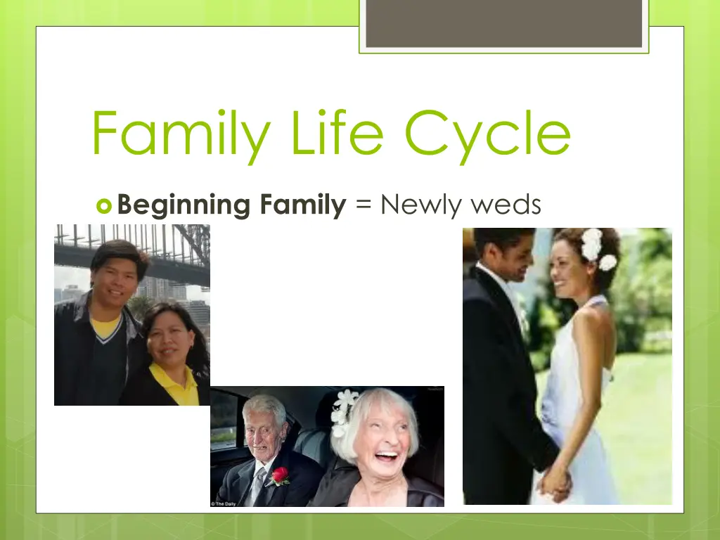 family life cycle 1