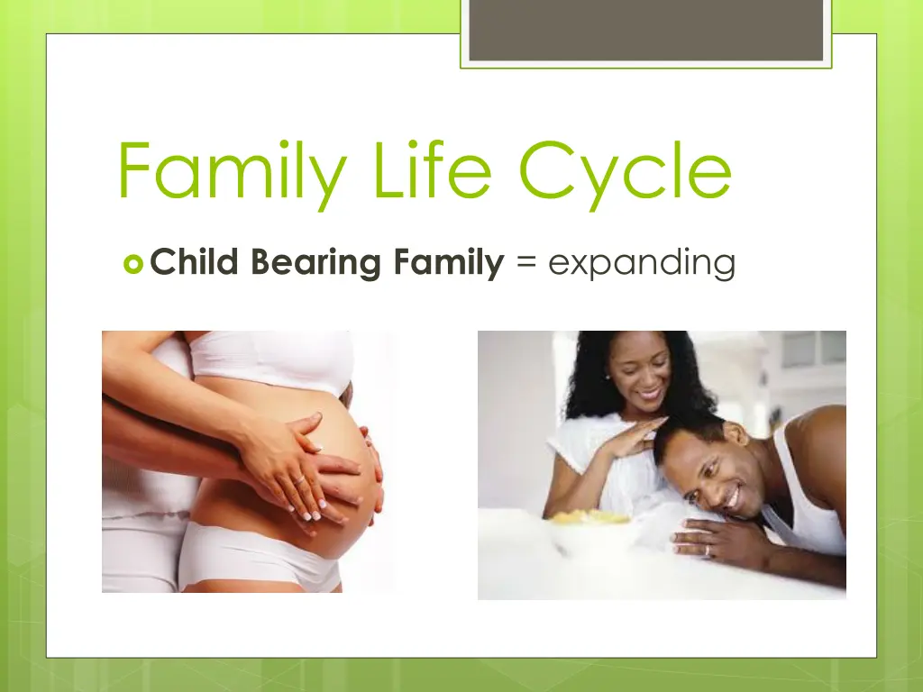 family life cycle 2
