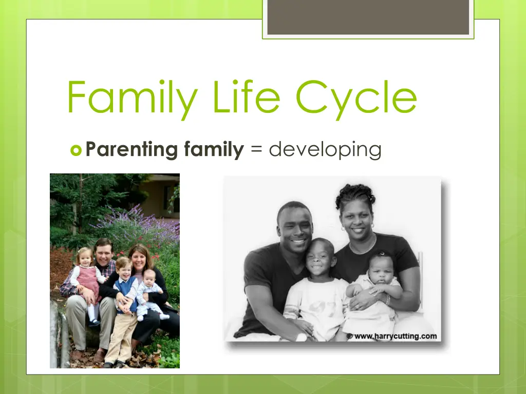 family life cycle 3