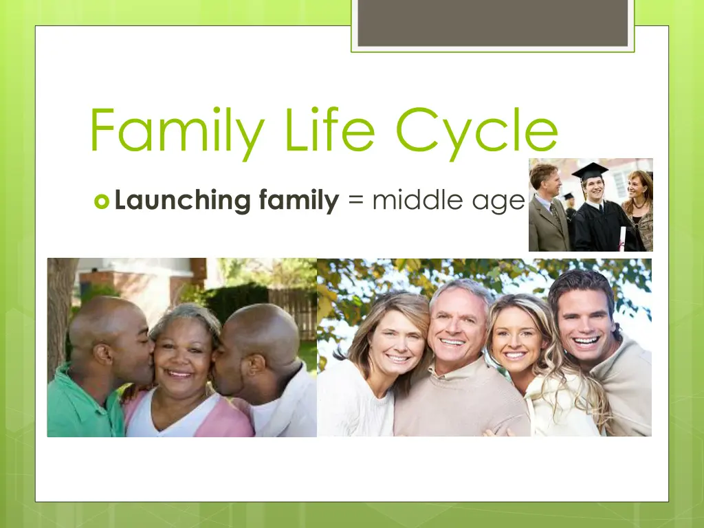 family life cycle 4