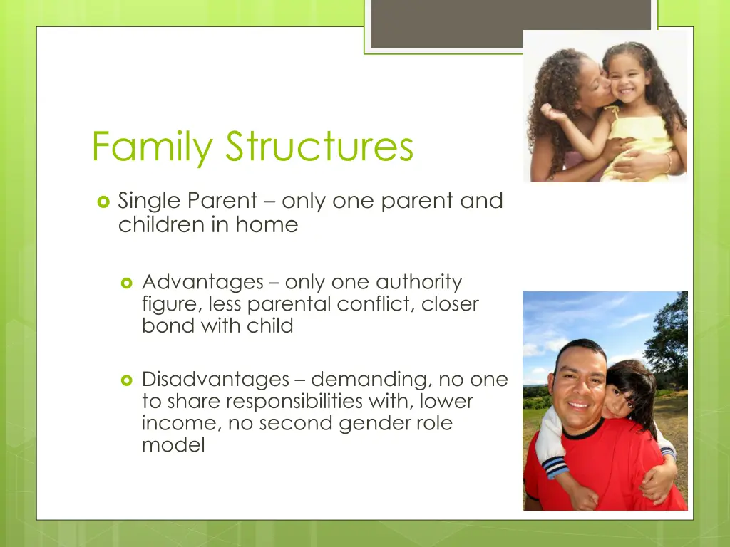family structures 1