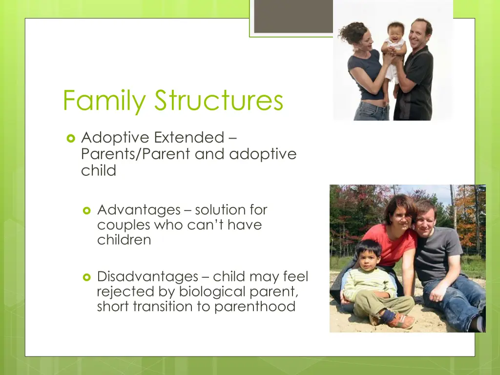 family structures 3