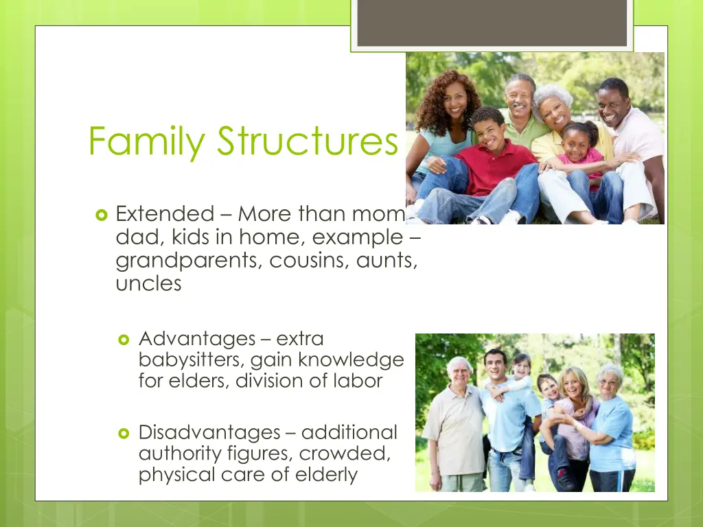 family structures