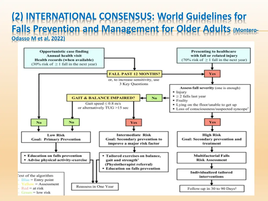 2 international consensus world guidelines 2