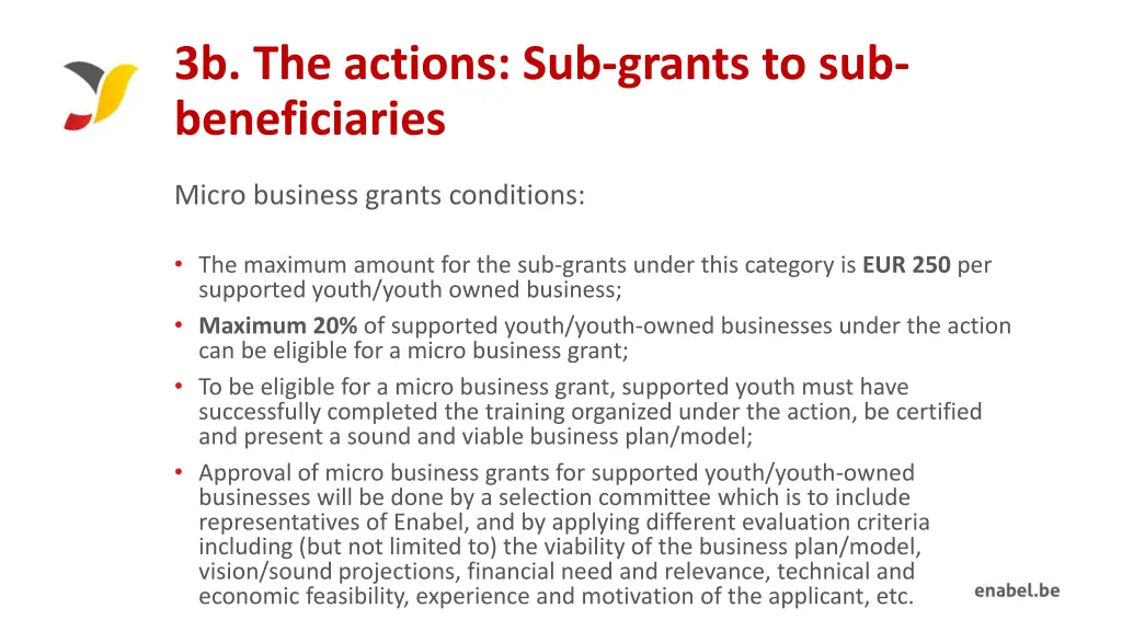 3b the actions sub grants to sub beneficiaries 1