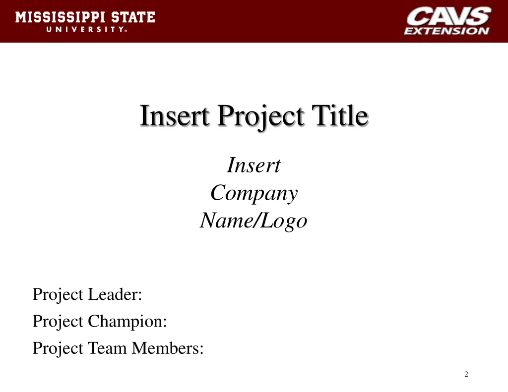 insert project title
