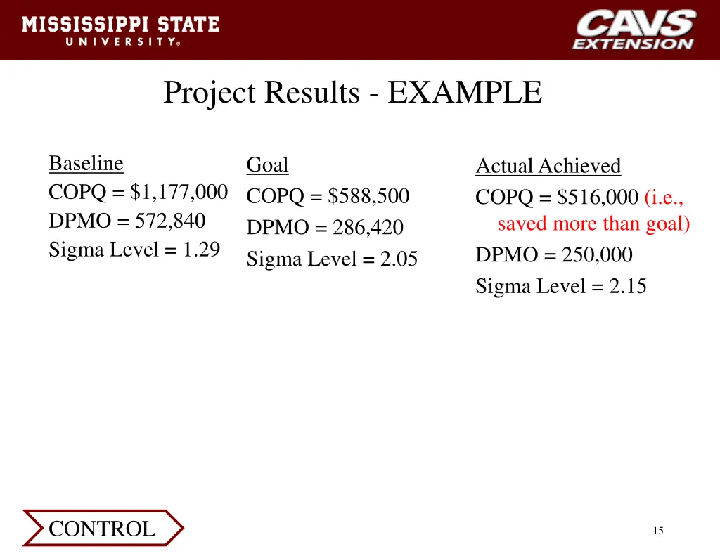 project results example