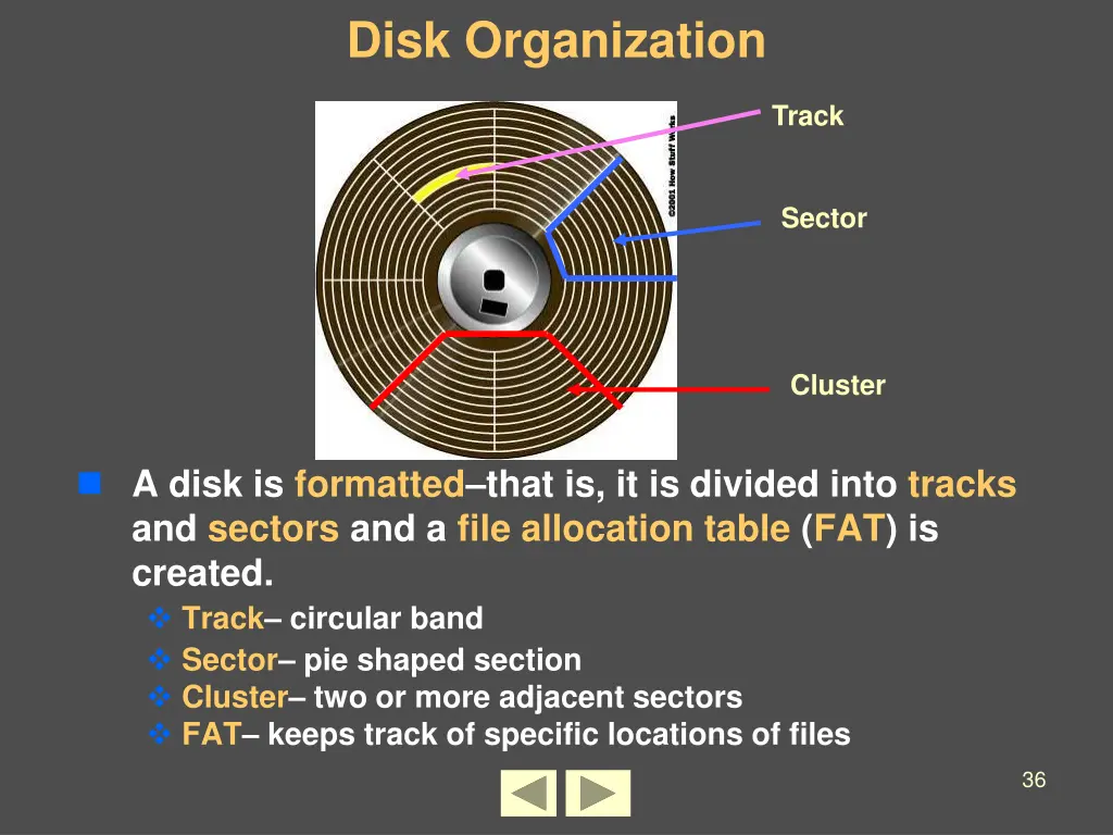 disk organization