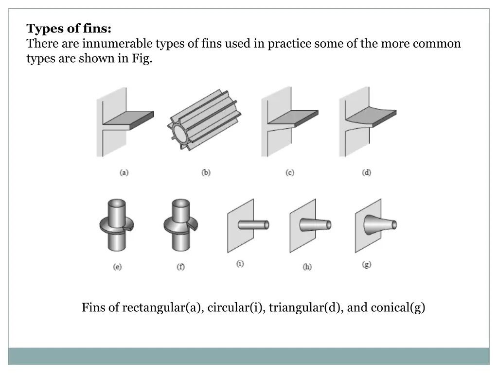 types of fins there are innumerable types of fins