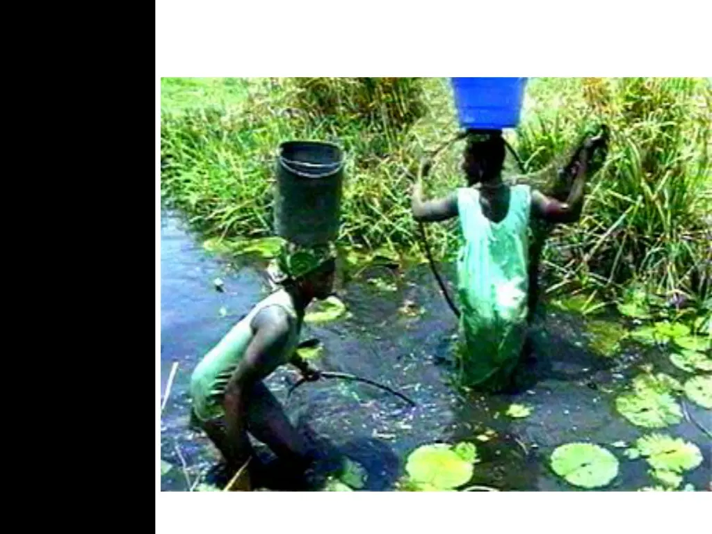 slide20