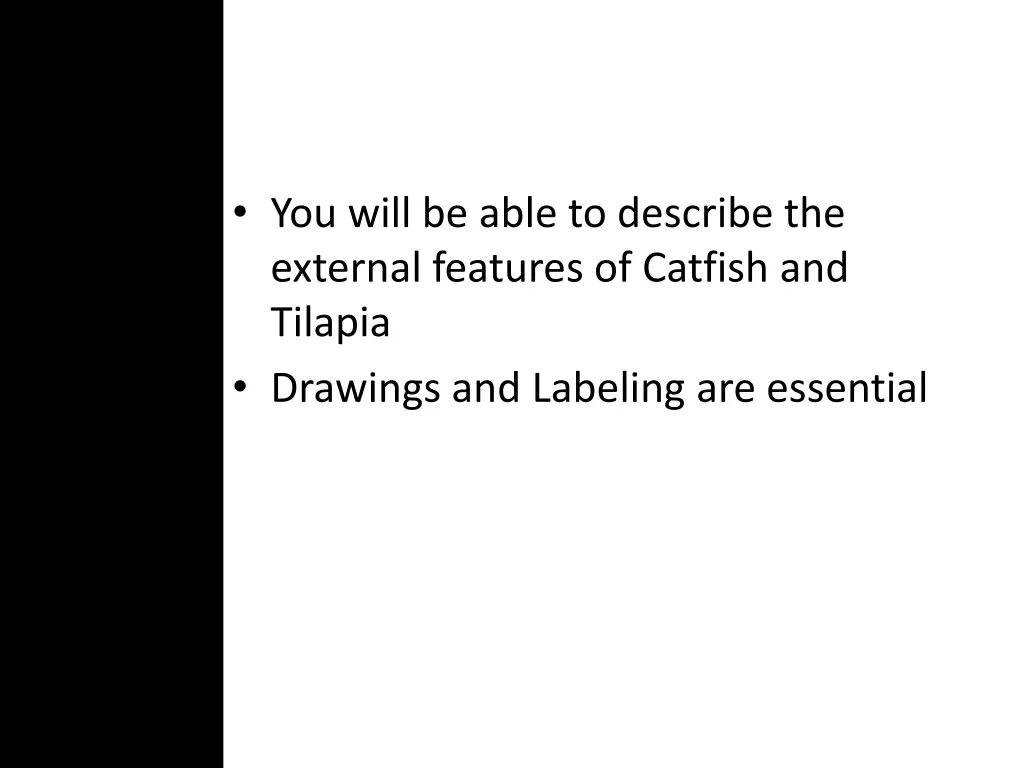 you will be able to describe the external