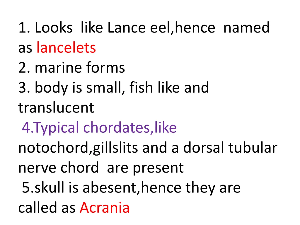 1 looks like lance eel hence named as lancelets
