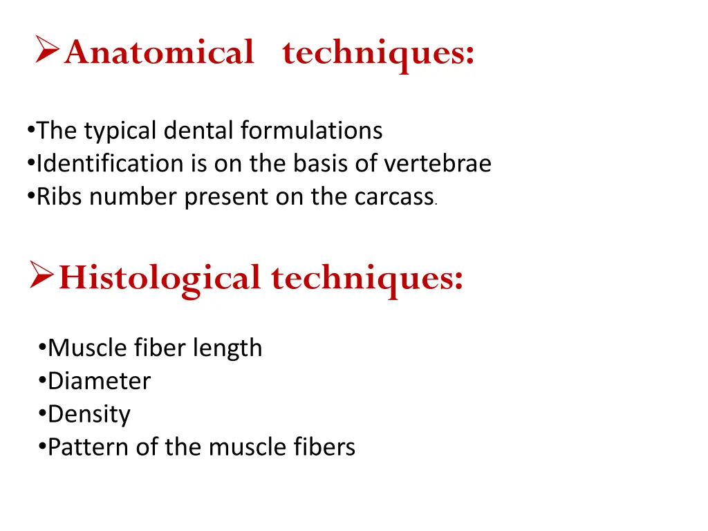 anatomical techniques