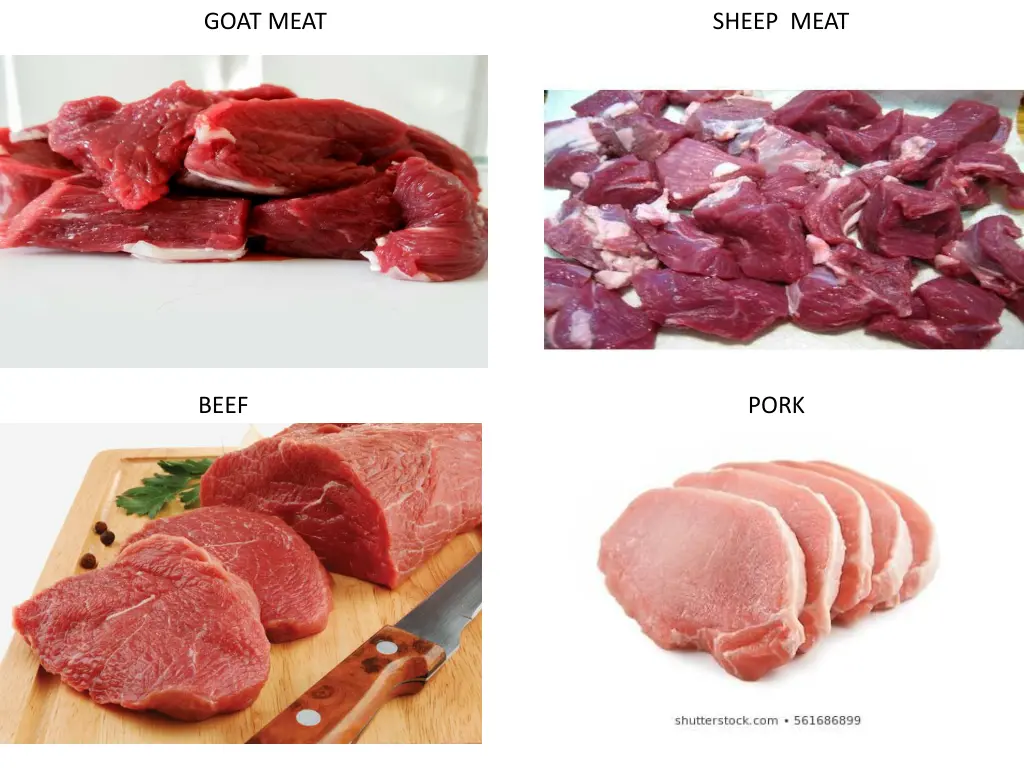 goat meat