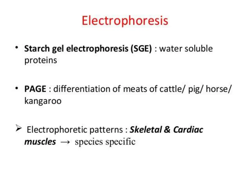 slide13