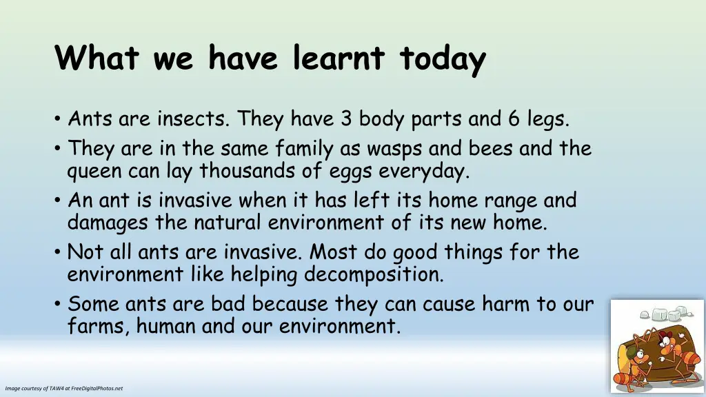 what we have learnt today