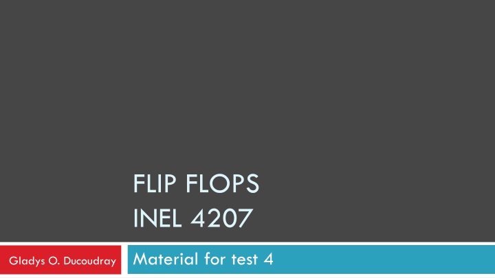 flip flops inel 4207