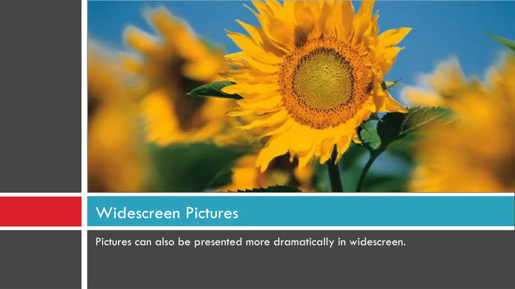 widescreen pictures