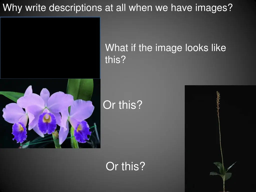 why write descriptions at all when we have images