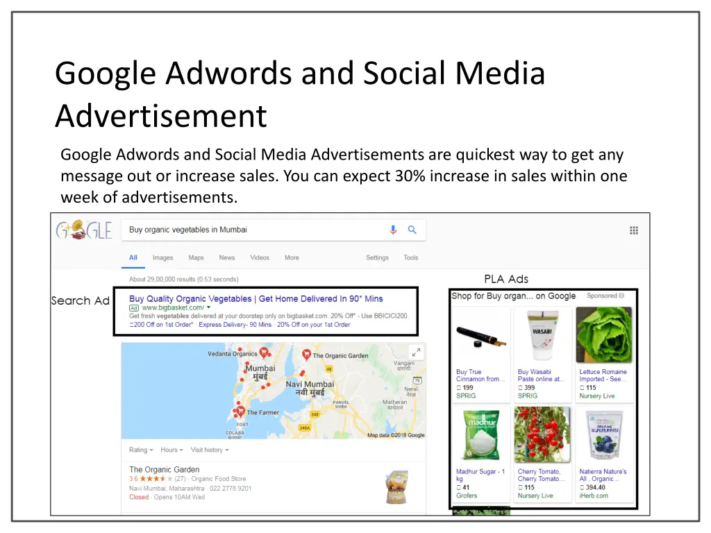 google adwords and social media advertisement