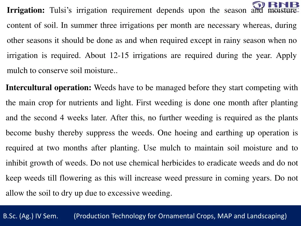 irrigation tulsi s irrigation requirement depends