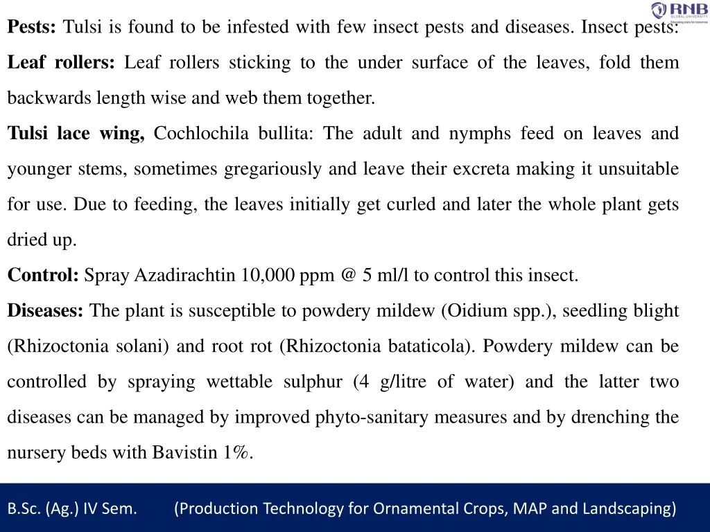 pests tulsi is found to be infested with